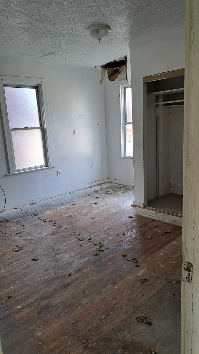 An interior room gutted down to the subfloor and framing during a selective demolition job
