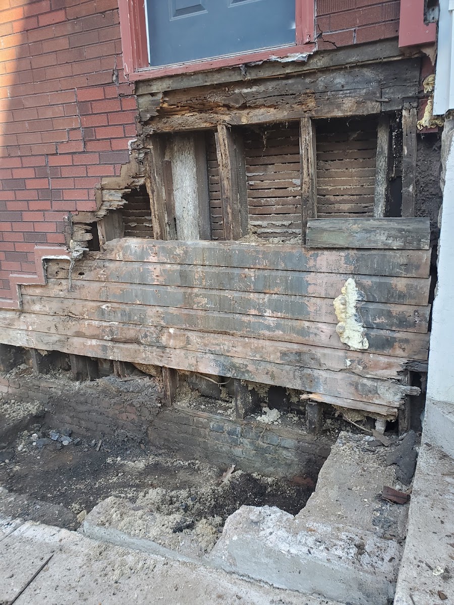 Rotted structural wood framing exposed during a Davis Demolition and Masonry repair job in Pittsburgh